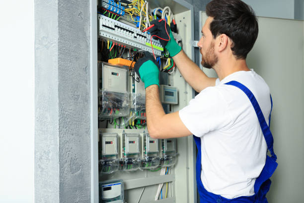 Best Electric Panel Repair  in Babbitt, MN